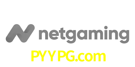 NetGaming